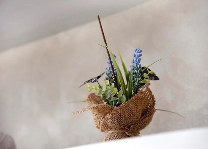 Residenza Contrada Apartment *